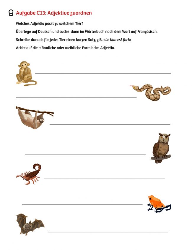 Grammatikübung: Passende Adjektive zu den abgebildeten Tieren (Affe, Schlange, Faultier, etc.) finden und zuordnen.